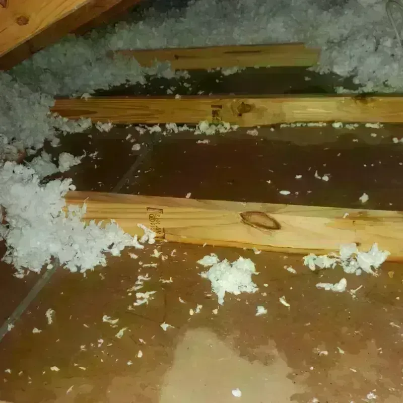 Attic Water Damage in Manassas, VA