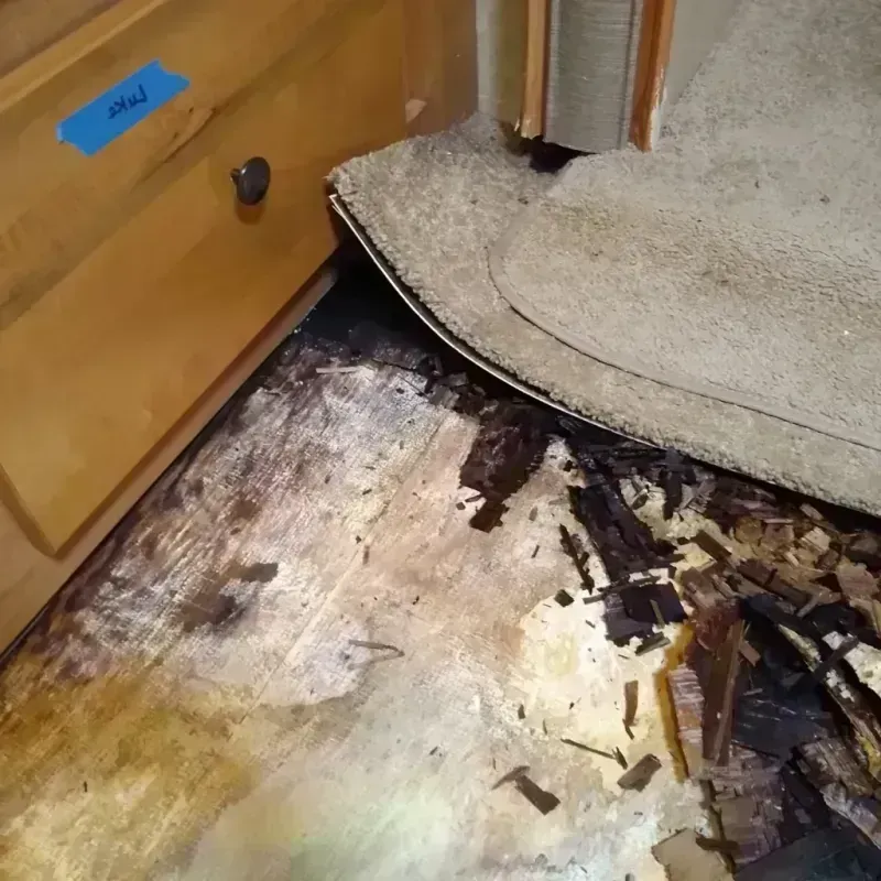 Best Wood Floor Water Damage Service in Manassas, VA